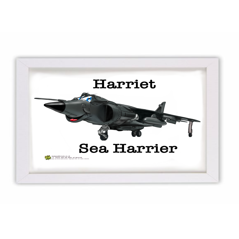 harriet frame